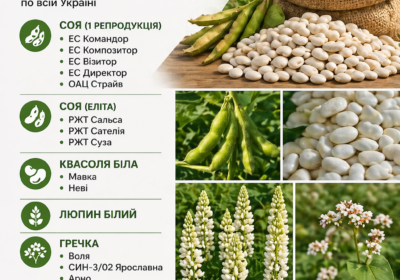 nasinnyatamikrodobriva