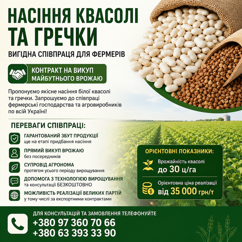 Насіння квасолі та гречки — вигідна співпраця для фермерів