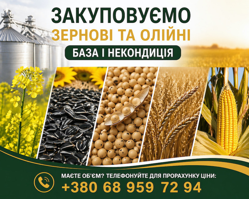 Купуємо зернові, бобові та олійні культури (база та некондиц