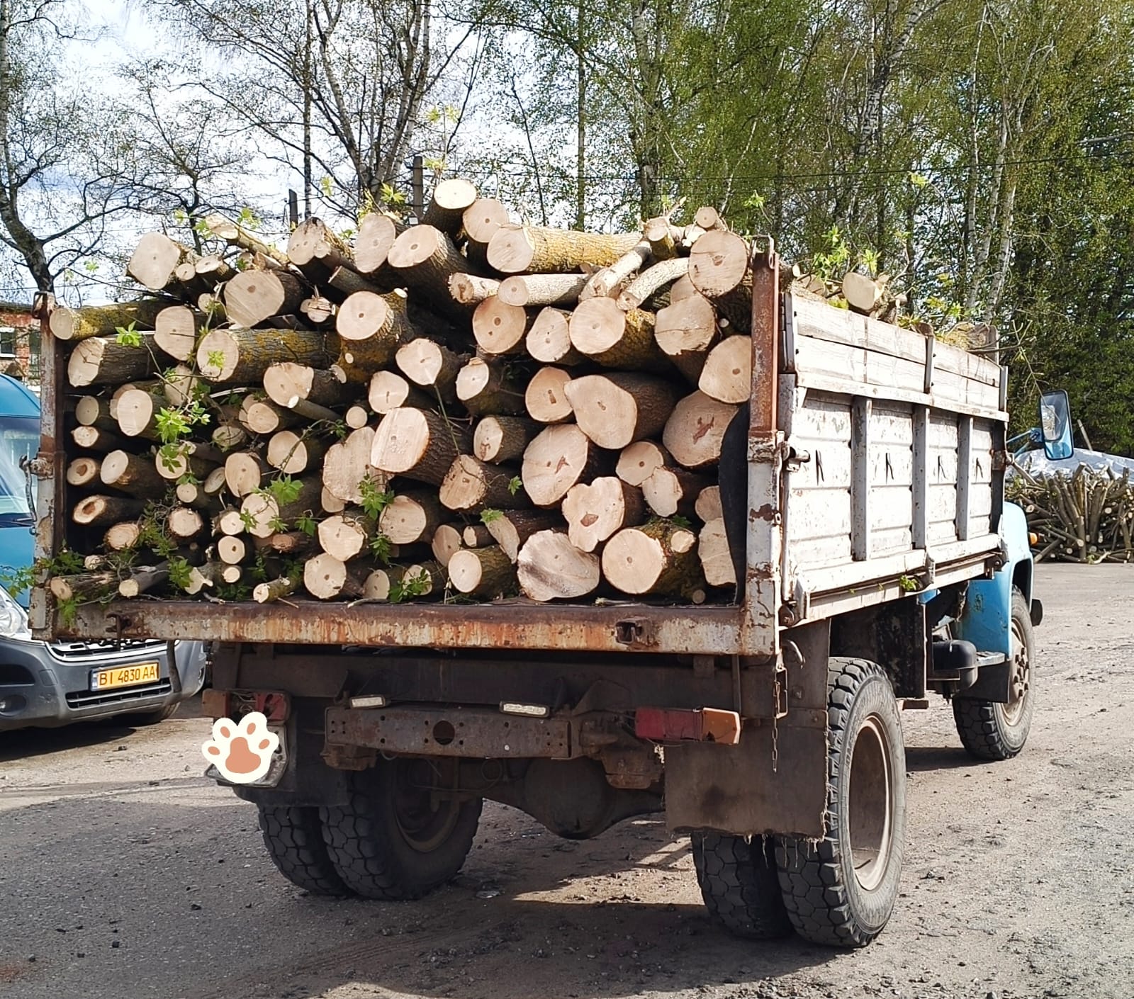 Кленові дрова. Є об’єми в наявності