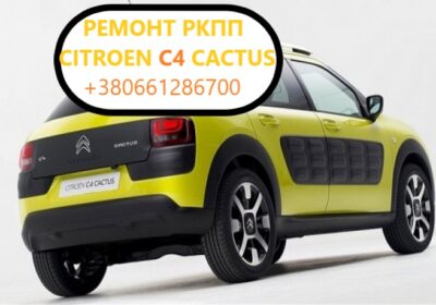 citroen c4 cactus kaktus.1